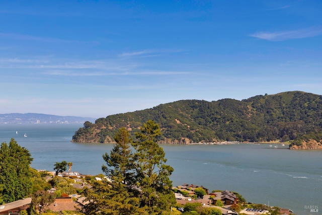 2215 Vistazo St E, Tiburon, CA 94920 - water view with mountains