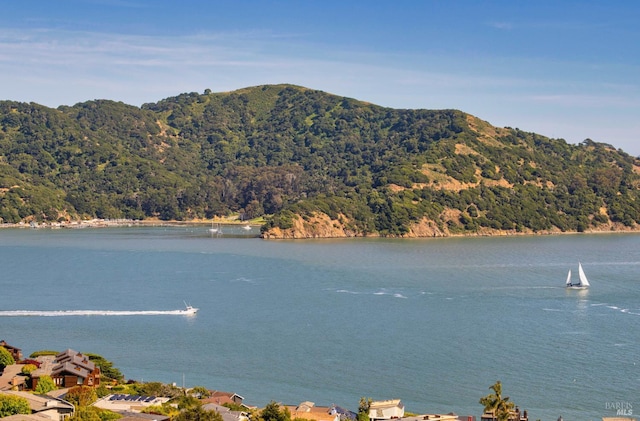 2215 Vistazo St E, Tiburon, CA 94920 - water view with a mountain backdrop and a heavily wooded area