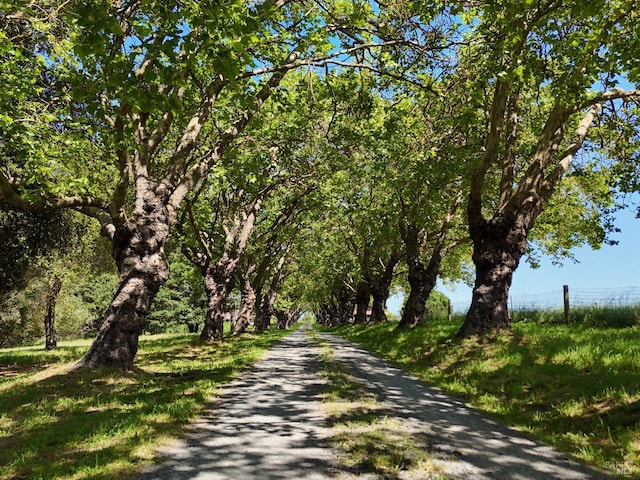 5900 Blank Rd, Sebastopol, CA 95472 - view of street