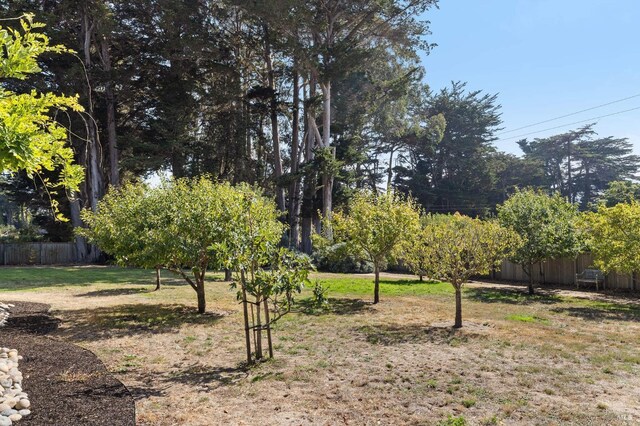 41 Cypress Rd, Point Reyes Station, CA 94956 - view of yard