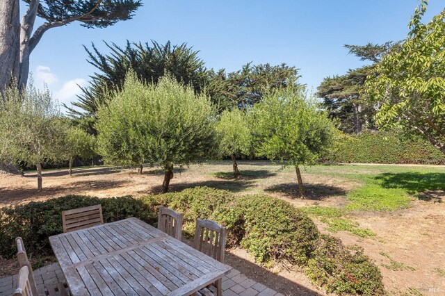 41 Cypress Rd, Point Reyes Station, CA 94956 - view of yard featuring outdoor dining area