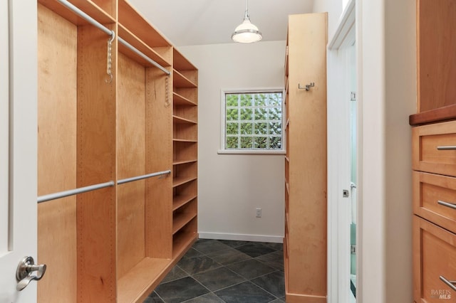 41 Cypress Rd, Point Reyes Station, CA 94956 - view of walk in closet