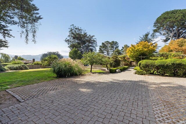 41 Cypress Rd, Point Reyes Station, CA 94956 - view of surrounding community