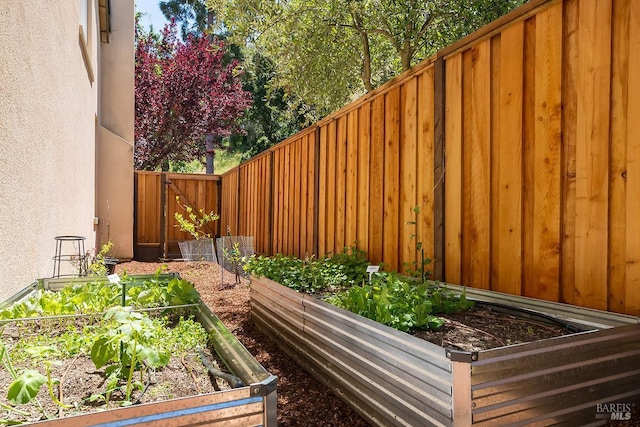 4 San Pablo Ct, Novato, CA 94949 - view of yard featuring a vegetable garden