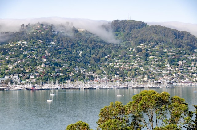 22 Eucalyptus Rd, Belvedere, CA 94920 - water view featuring a mountainous background