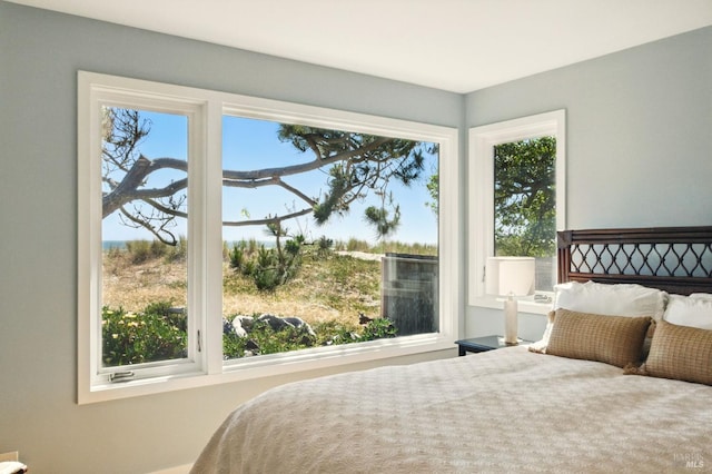 8 Rafael Patio, Stinson Beach, CA 94970 - bedroom with multiple windows
