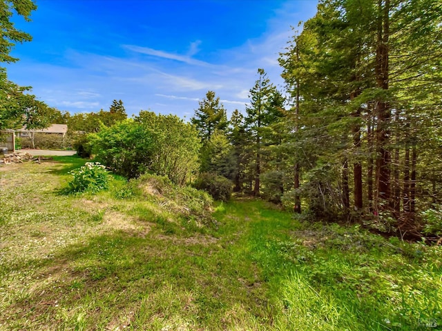 7785 Torgersen Rd, Eureka, CA 95503 - view of yard
