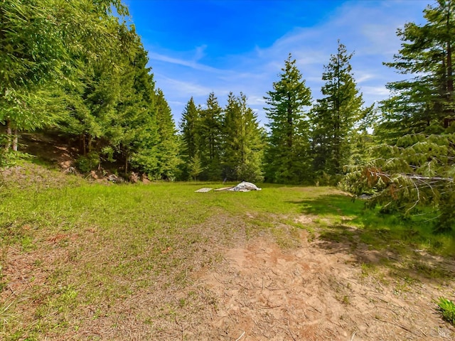 7785 Torgersen Rd, Eureka, CA 95503 - view of yard with a forest view