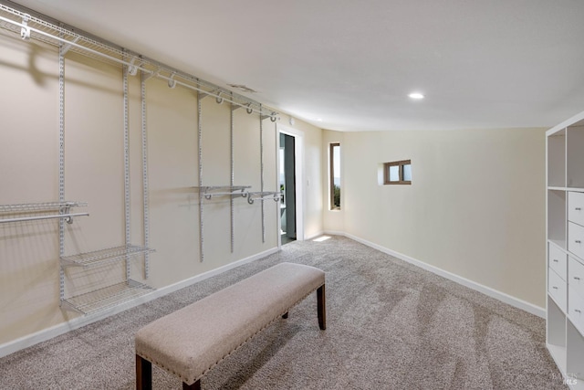 12 Maidu Ct, Napa, CA 94558 - spacious closet with carpet flooring