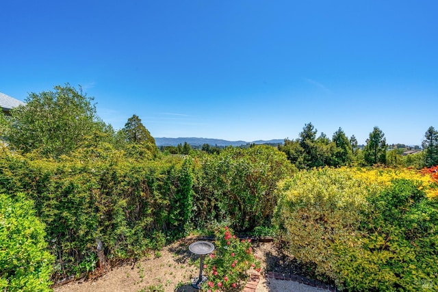 12 Maidu Ct, Napa, CA 94558 - view of yard
