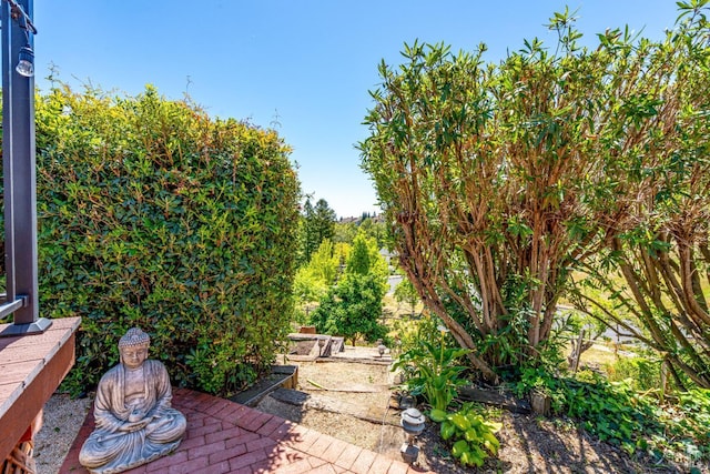 12 Maidu Ct, Napa, CA 94558 - view of patio