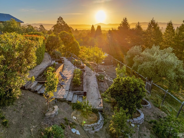 12 Maidu Ct, Napa, CA 94558 - yard at dusk featuring a garden