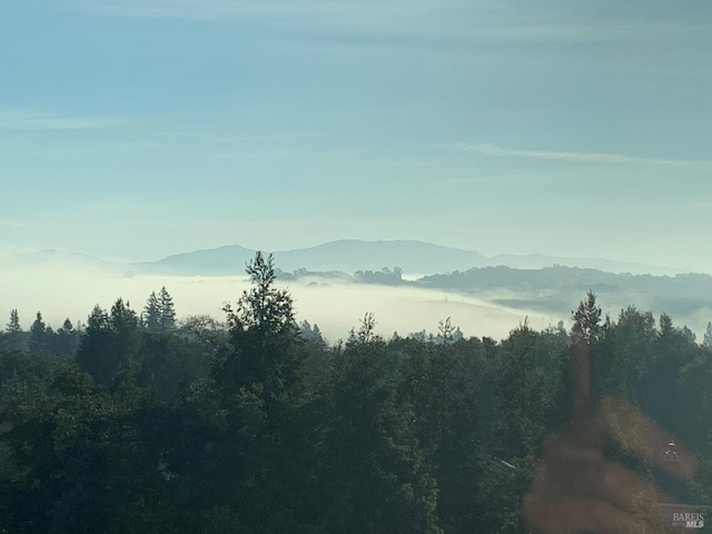 12 Maidu Ct, Napa, CA 94558 - mountain view featuring a heavily wooded area