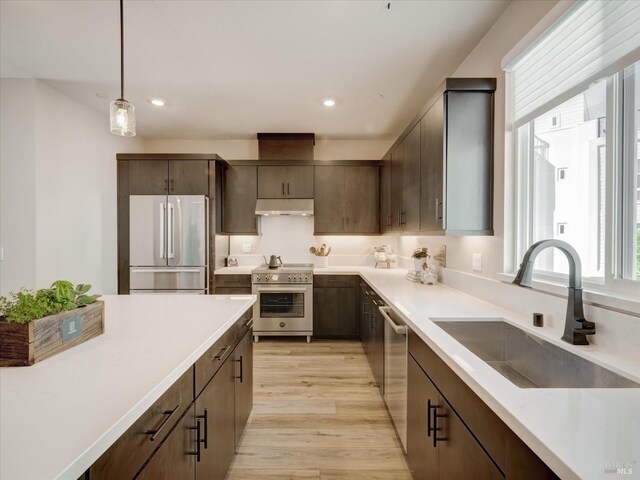 226 Verandah Ave, Novato, CA 94945 - kitchen with high end appliances, a sink, under cabinet range hood, dark brown cabinets, and light wood-style flooring
