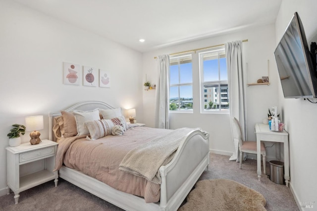 1749 Guadalupe St, Petaluma, CA 94952 - bedroom featuring carpet, baseboards, and recessed lighting