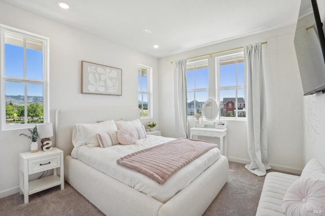 1749 Guadalupe St, Petaluma, CA 94952 - carpeted bedroom featuring recessed lighting and baseboards