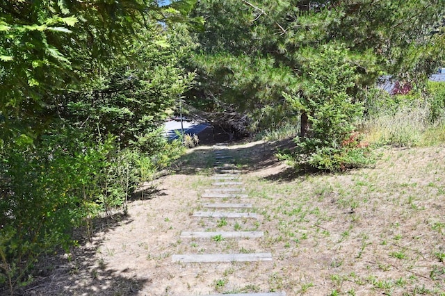 110 Monterey Dr, Tiburon, CA 94920 - view of yard