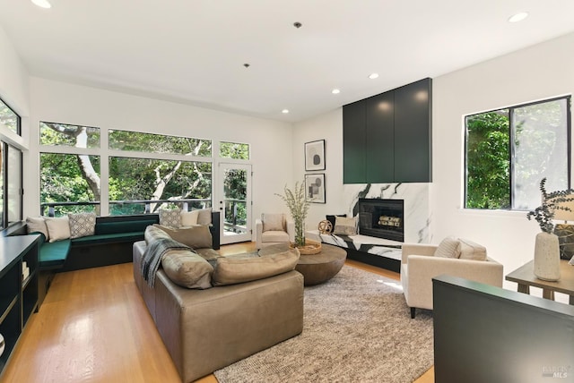 119 Marguerite Ave, Mill Valley, CA 94941 - living area featuring healthy amount of natural light, light wood-style floors, a high end fireplace, and recessed lighting