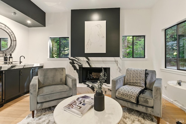 119 Marguerite Ave, Mill Valley, CA 94941 - living area featuring light wood-style floors, wet bar, and a high end fireplace