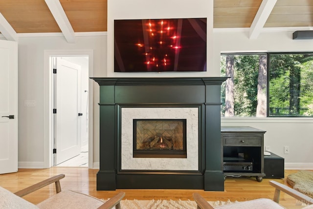 119 Marguerite Ave, Mill Valley, CA 94941 - detailed view of a fireplace, wood finished floors, wooden ceiling with exposed beams, and baseboards