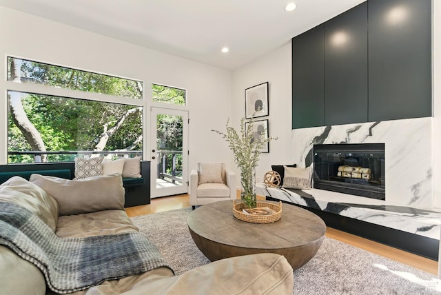 119 Marguerite Ave, Mill Valley, CA 94941 - living room with light wood finished floors and recessed lighting