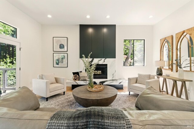 119 Marguerite Ave, Mill Valley, CA 94941 - living area with light wood-style flooring and recessed lighting