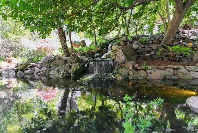 119 Marguerite Ave, Mill Valley, CA 94941 - view of nature