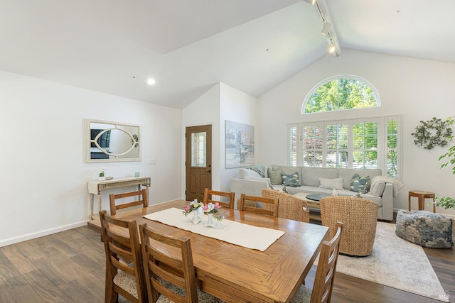 3336 Brittany Cir, Napa, CA 94558 - dining room featuring dark wood-style floors, rail lighting, baseboards, and high vaulted ceiling