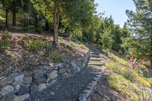 3336 Brittany Cir, Napa, CA 94558 - view of yard