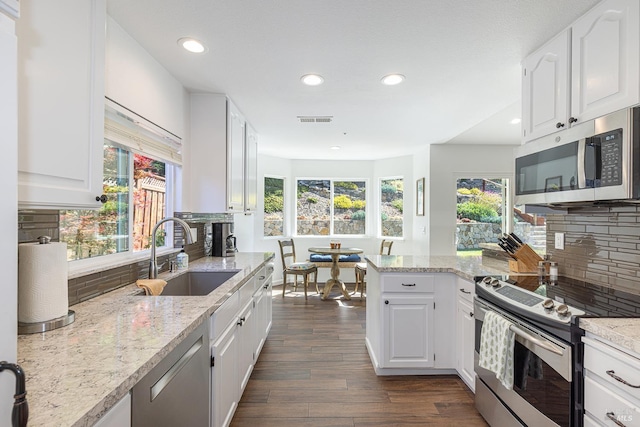 3336 Brittany Cir, Napa, CA 94558 - kitchen featuring stainless steel appliances, a sink, healthy amount of natural light, recessed lighting, and dark wood-style flooring