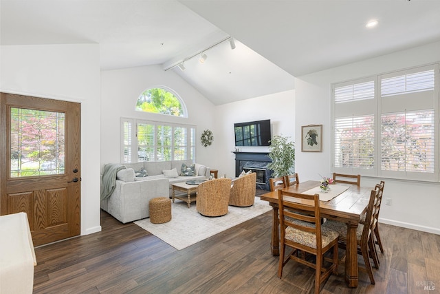 3336 Brittany Cir, Napa, CA 94558 - dining space with vaulted ceiling, a high end fireplace, dark wood-type flooring, rail lighting, and baseboards
