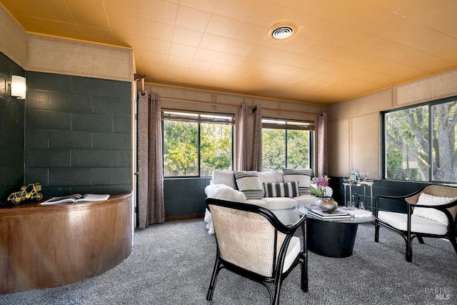 11 Inverness Way S, Inverness, CA 94937 - view of carpeted living area