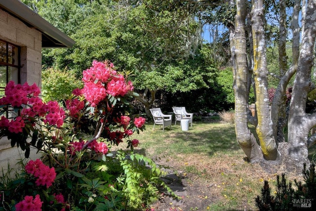 11 Inverness Way S, Inverness, CA 94937 - view of green lawn