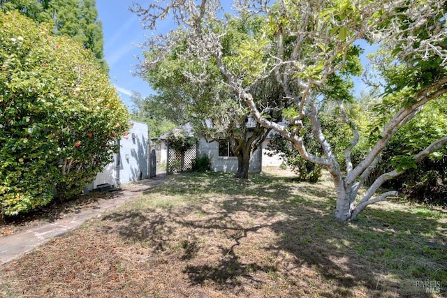 11 Inverness Way S, Inverness, CA 94937 - view of green lawn