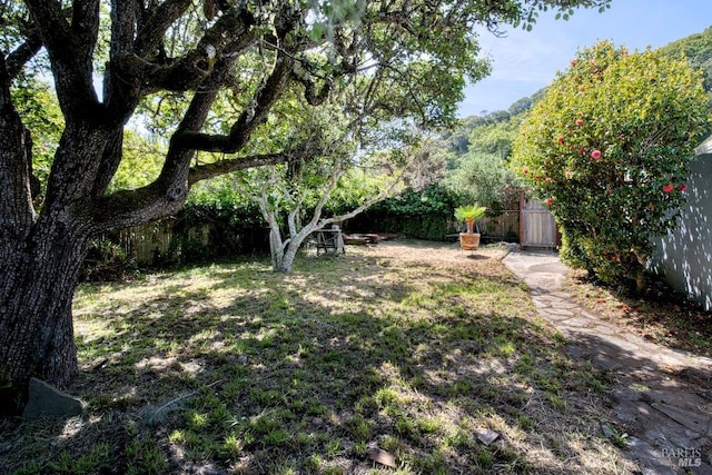 11 Inverness Way S, Inverness, CA 94937 - view of yard