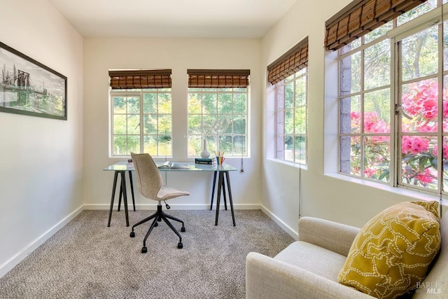 11 Inverness Way S, Inverness, CA 94937 - carpeted office space featuring baseboards