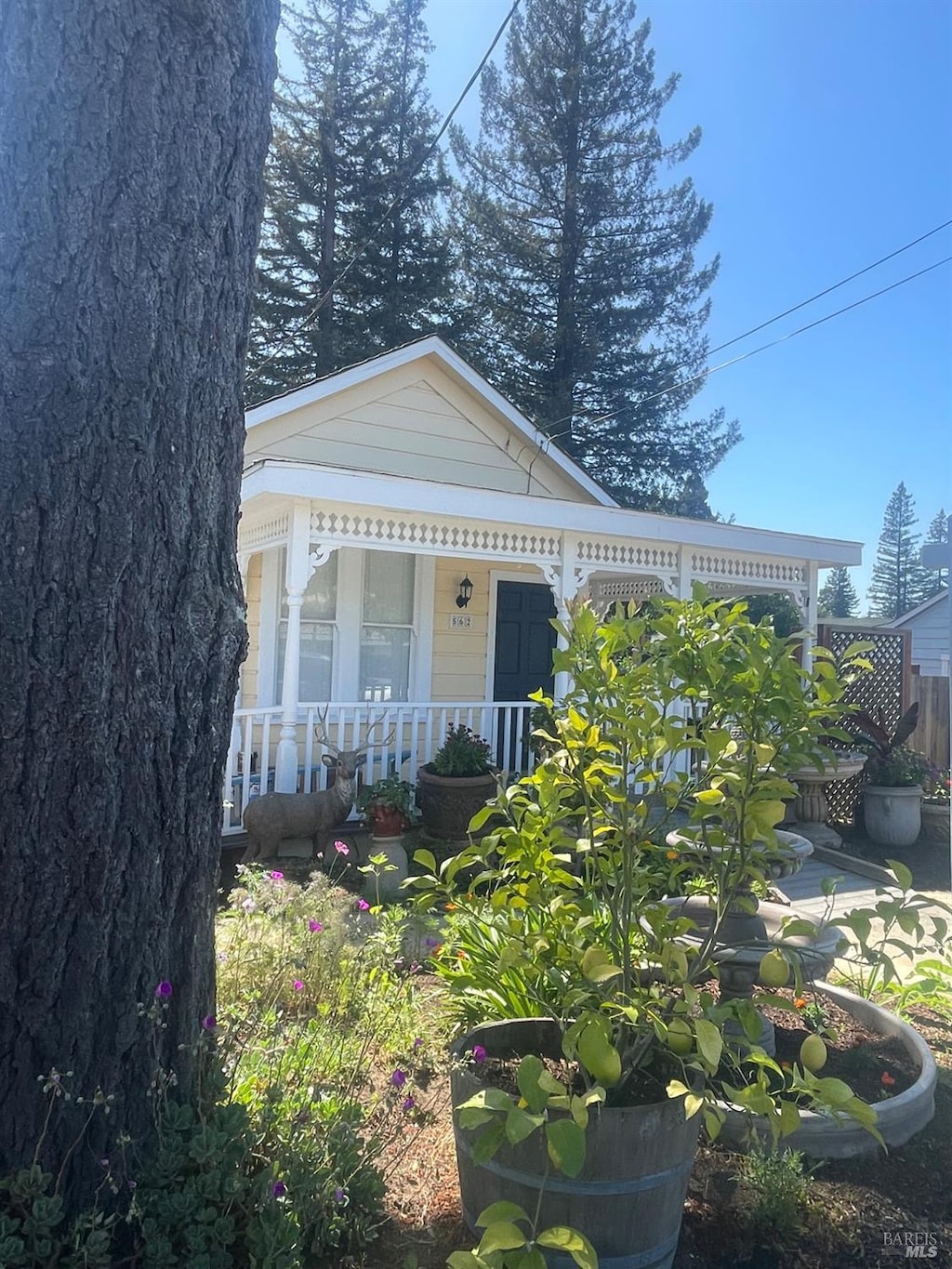 562 Petaluma Ave, Sebastopol, CA 95472 - view of front of home with a porch