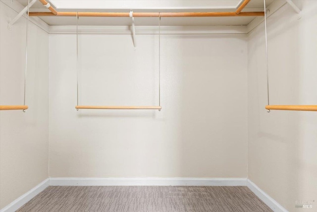 843 Cab Calloway Ct, Windsor, CA 95492 - spacious closet featuring carpet flooring