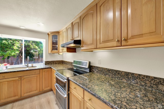 3327 Colonial Ct, Fairfield, CA 94534 - kitchen featuring double oven range, under cabinet range hood, a sink, glass insert cabinets, and light wood-style flooring