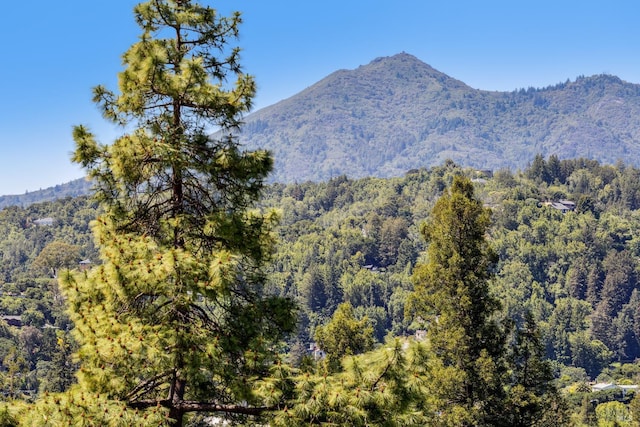 6 Live Oak Way, San Rafael, CA 94901 - view of mountain backdrop with a heavily wooded area