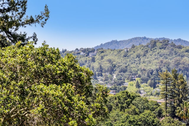 6 Live Oak Way, San Rafael, CA 94901 - view of mountain background featuring a heavily wooded area