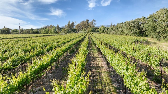 570 E Watmaugh Rd, Sonoma, CA 95476