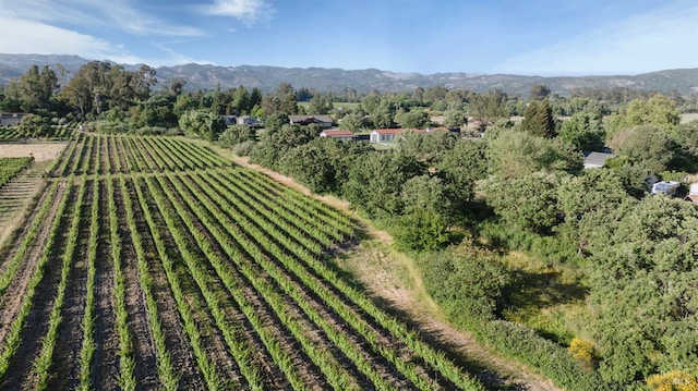 570 E Watmaugh Rd, Sonoma, CA 95476