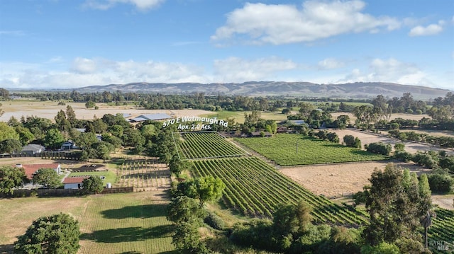 570 E Watmaugh Rd, Sonoma, CA 95476