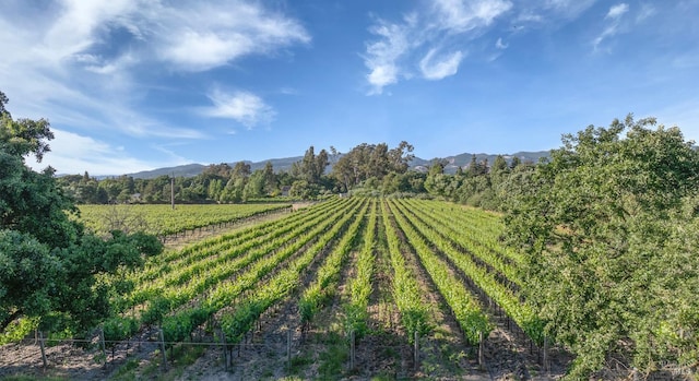 570 E Watmaugh Rd, Sonoma, CA 95476