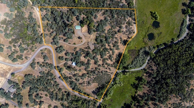 2840 Pear View Rd, Lakeport, CA 95453 - aerial view of property's location with property parcel outlined
