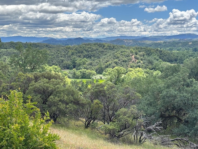 2840 Pear View Rd, Lakeport, CA 95453 - view of mountain backdrop featuring a forest