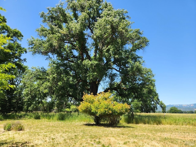 25500 Fairbanks Ln, Covelo, CA 95428 - view of local wilderness with rural landscape