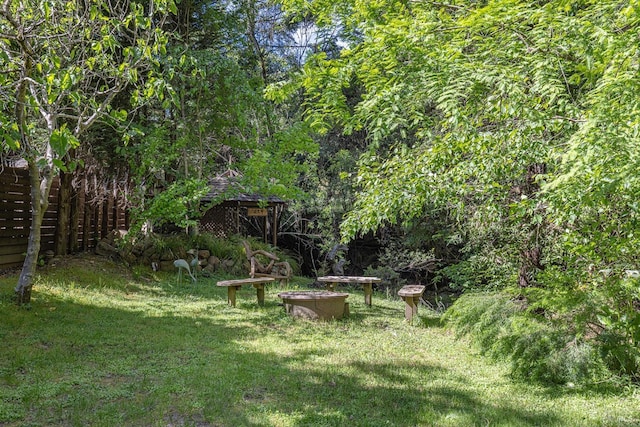4011 Mill Creek Rd, Healdsburg, CA 95448 - view of yard