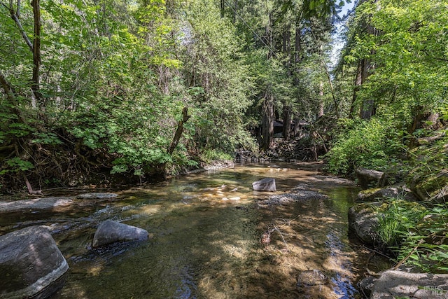 4011 Mill Creek Rd, Healdsburg, CA 95448 - view of yard with a forest view